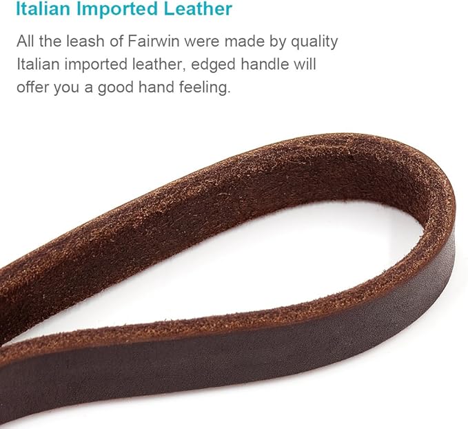 FAIRWIN Leather Dog Leash 6 Foot - Dog Training Leash Heavy Duty Dog Lead for Large Medium Small Dogs (M - 6 ft x 5/8 inch, Reddish Brown)