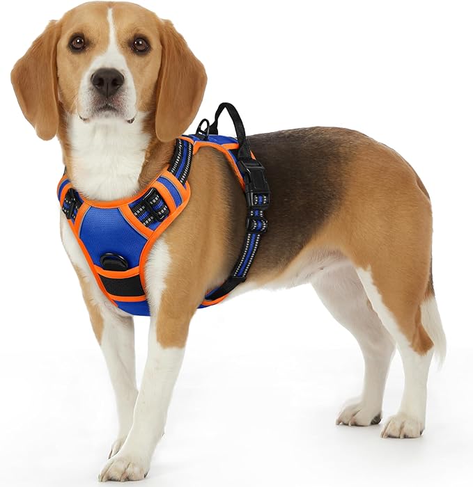 Eagloo Dog Harness Small Sized Dog, No Pull Service Vest with Reflective Strips and Control Handle, Adjustable and Comfortable for Walking, No Choke Pet Harness with 2 Metal Rings, Blue & Orange, S