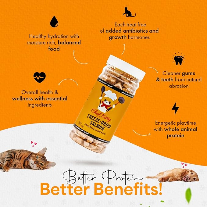 Freeze-Dried Salmon Treats for Cats & Dogs – 100% Wild Caught, Single Ingredient, High-Protein, Healthy Snack – No Additives or Preservatives – 1.4oz - Inspected & Tested in USA