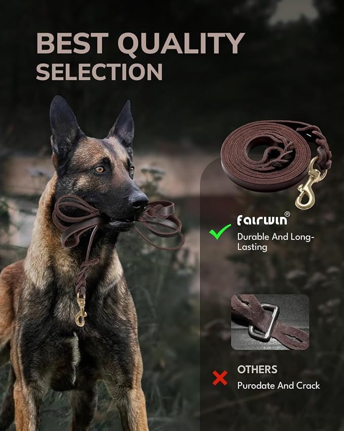 FAIRWIN Braided Leather Dog Leash 6 Foot - Dog Training Leash for Large Medium Small Dogs (Brown, S:1/2" x 6ft)