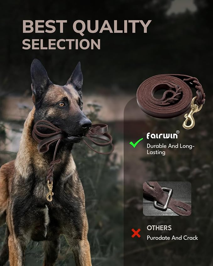 FAIRWIN Leather Dog Leash 6 Foot - Braided Military Grade Heavy Duty Dog Leash for Large Medium Small Dogs Training and Walking (Brown, XL:1" x 6ft)
