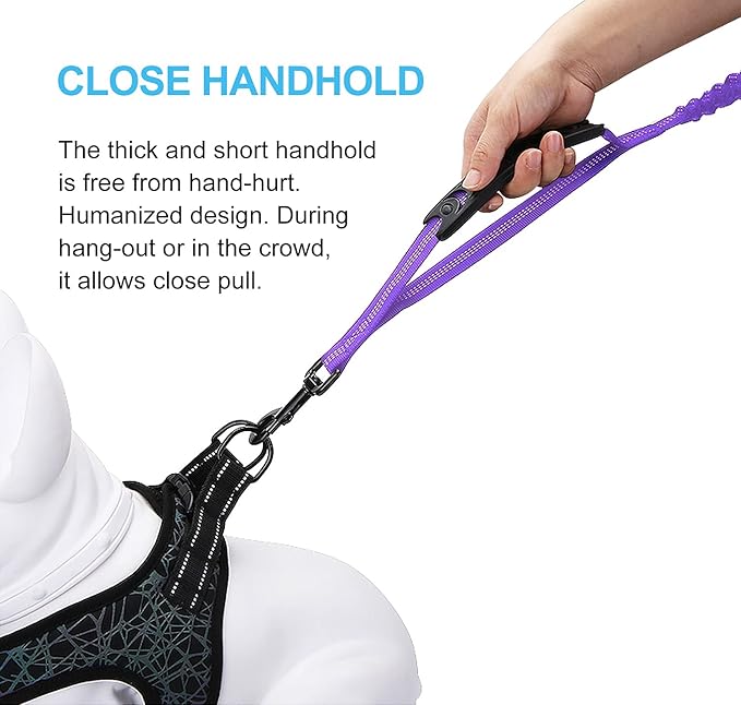 6FT Highly Reflective Heavy Duty Elastic Bungee Medium and Large Dog Leash Shock Absorbing with Comfortable Padded Handle and Traffic Handle Suitable for Training