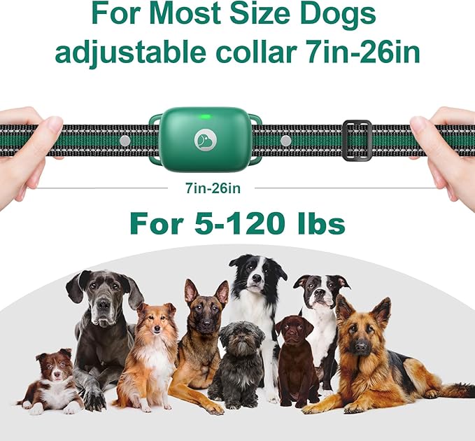 Touch-Screen Dog Shock Collar with Security Lock, 2600FT Dog Training Collar Features 3 Training Modes, Rechargeable & Waterproof, Suits Dogs of All Breeds and Sizes