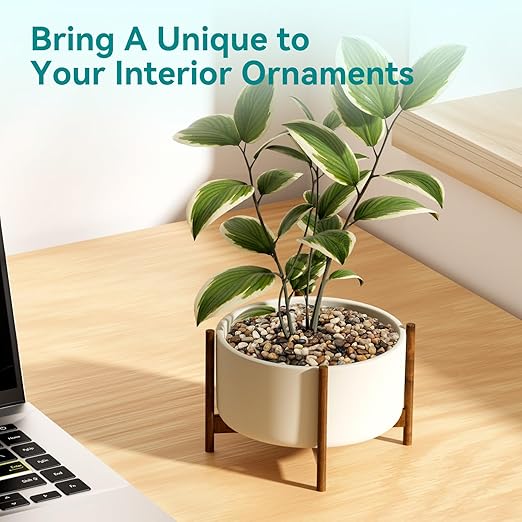 2.5 lbs Pebbles for Indoor Plants, Vase, Succulent, 3/8" Gravel for Plants, Pots Indoor, Bamboo Rocks for Bamboo Plants, Decorative Small River Rock, Highly Polished