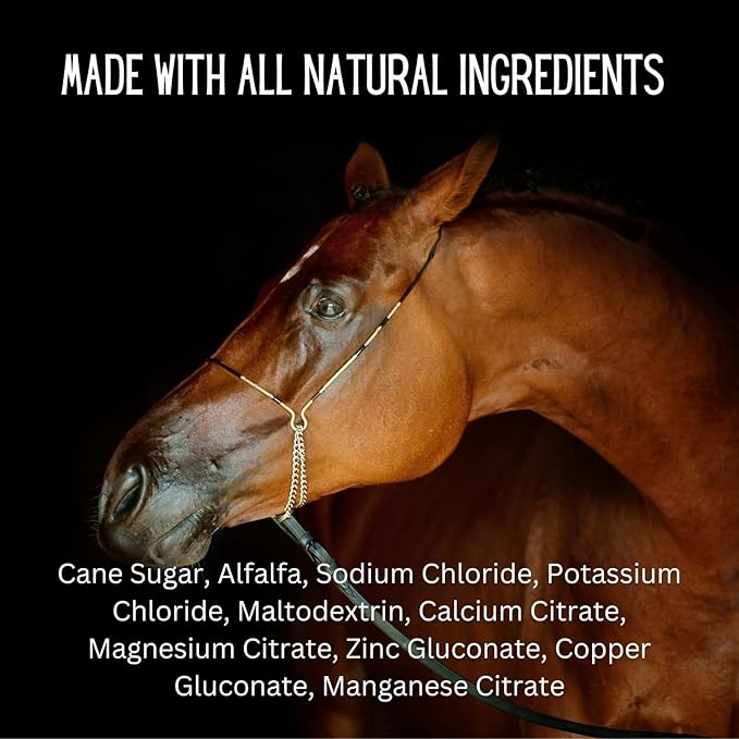 GALLAGHER'S WATER 2 Pack All-Natural Equine Hydration Treat - Enhancement Powder Mix Horse Drink Treat to Help Encourage to Drink Water - Made with All Natural Ingredients, FEI Compliant