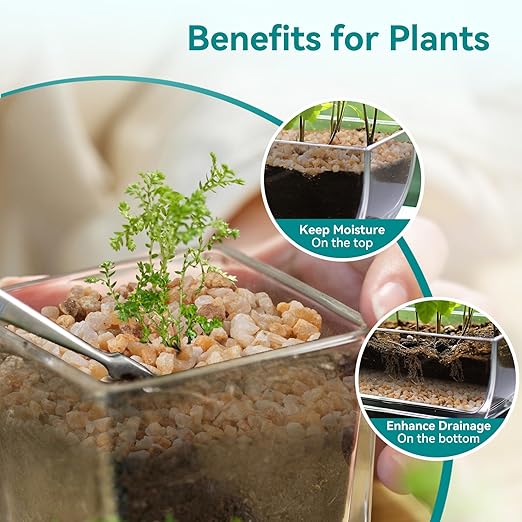 2.5 lbs Coarse Sand for Plants, 1/5 Inch Horticultural Sand for Vases, Aquariums, Terrarium, Fish Tank, Drainage Rocks for Potted Plants, Bamboo, Succulent, Crafts, Cactus