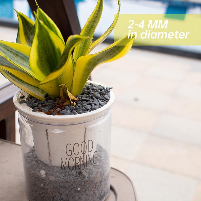 18lb Black Cactus Pea Gravel Rocks,1/4 Inch Pebbles for Indoor Plants, Natural Succulent Rock and River Rocks Decorative for Aquariums, Vases, Outdoor Gardening, Top Dressing for Potted Plants