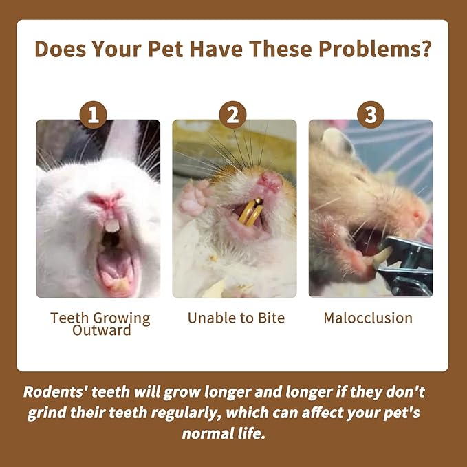 Fhiny 12 PCS Rabbit Chew Sticks, Natural Papaya Wood Seagrass Guinea Pig Chew Toys for Teeth Small Animal Molar Sticks Snacks for Bunny Guinea Pig Chinchilla Ferret Hamster Gerbil Dental Care