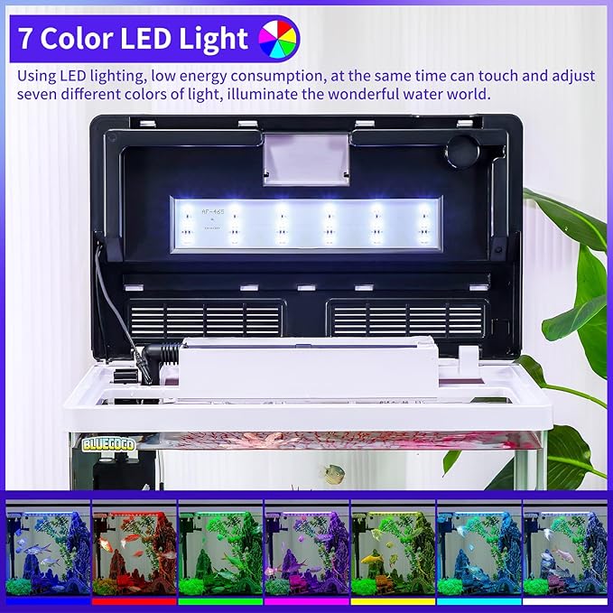 Glass Aquarium Fish Tank Starter Kit with Temperature and Time Display for Betta Fish Featuring Crystal Clear 360° Viewing, Eco-Cycle Filtration, Air Pump 12 Gallon