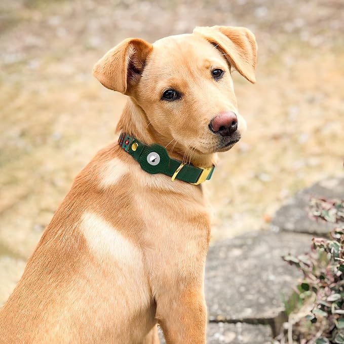 AirTag Dog Collar for Small Medium Large Breed - Adjustable Cute Pattern Dog Collar with Airtag Holder - Soft Leather Tracker GPS Apple Air Tag Pet Collars (Small, 12"-15" Neck Fit, Tribal)