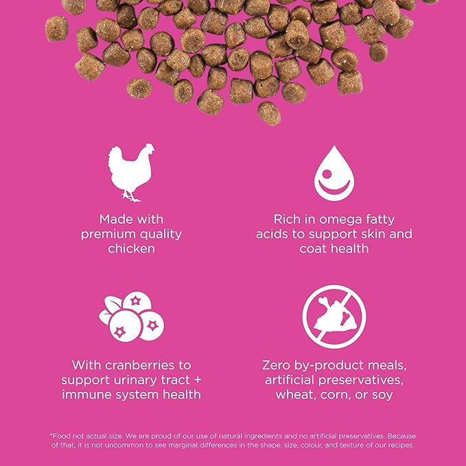 Go! Solutions Skin + Coat Care, Dry Cat Food, Chicken Recipe with Grains, 16 lb Bag