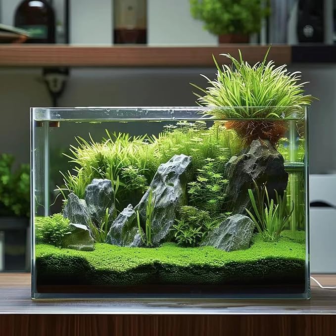 3 Gallon Glass Fish Tank, Easy to Maintain Small Aquarium for Betta/Goldfish/Snails/Shrimp and Aquatic Planting.