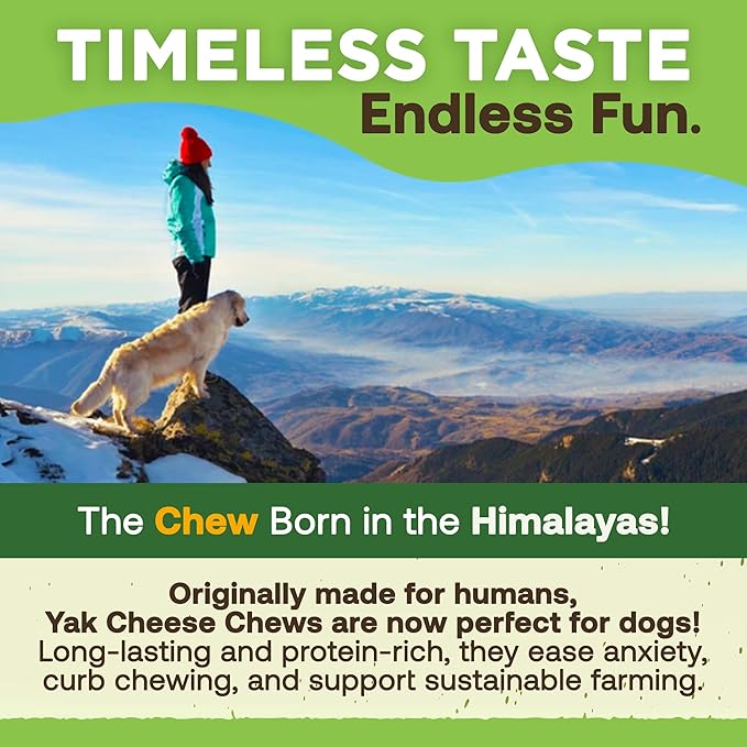 EcoKind Himalayan Gold Yak Cheese Chew for Small Dogs, Healthy Treats, Odorless, Long Lasting Bones, Rawhide Free, Made in The Himalayans, Small (Pack of 4)
