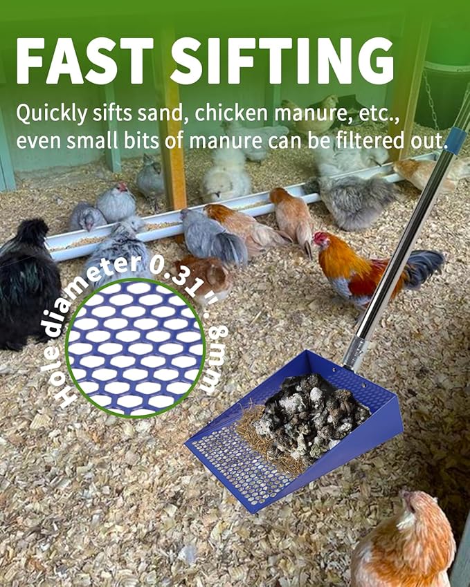 Large Chicken Poop Scooper, Chicken Coop Accessories,Metal Litter Scooper For Chicken,Chicken Coop Cleaning Tools,Heavy Duty Poop Shovel For Chicken Coop Accessories,Chicken Coop Must Haves (Blue)