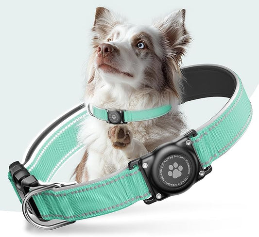 Airtag Dog Collar - 100% Waterproof Air tag Dog Collar Holder for Apple AirTag, Reflective, Soft Padded, Everlasting, GPS Dog Collar for Small Medium Large Dogs (Teal, XL)