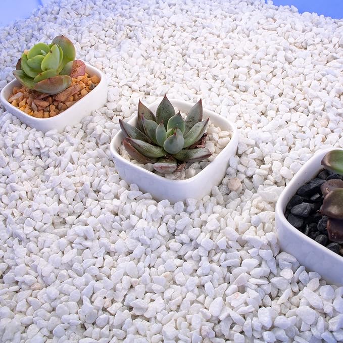 7lb White Cactus Pea Gravel Rocks,1/4 Inch Pebbles for Indoor Plants, Natural Succulent Rock and River Rocks Decorative for Aquariums, Vases, Outdoor Gardening, Top Dressing for Potted Plants