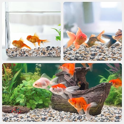 2.5 lbs Small Rocks for Plants, 1/5 Inch Pebbles for Indoor Plants, Natural Decorative Pea Gravel for Aquarium, Fish Tank, Terrarium, Succulents, Bamboo Plants, Vases, Cactus, Crafts