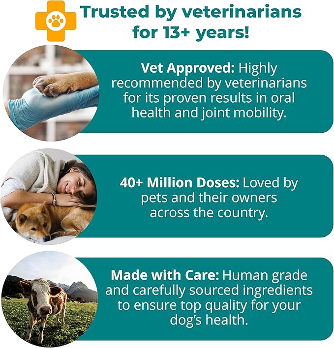 1TDC WorksSoWell Dual Action Joint Supplement for Dogs & Cats - Hip and Joint Supplement for Large Breed & Small Breed - Also Great for Oral Health - Muscle & Stamina Recovery & Arthritis - 60ct