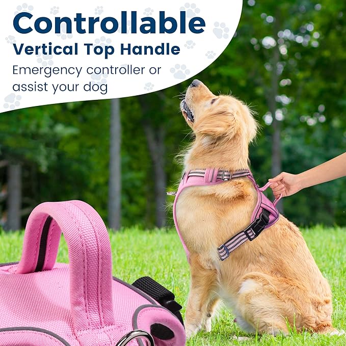 Funfox Dog Harness No Pull, Adjustable Pet Vest Harness, Super Soft Material with Vertical Handle Easy Control, Reflective Night Walking, 2 Leash Clips for Small Sized Dogs, Pink, S