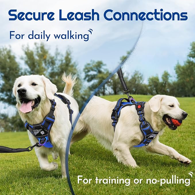 Eagloo Dog Harness for Large Dogs, Easy Wearing with 3 Buckles, Adjustable No Pull Pet Harness with 2 Rings for Walking, No Chock Reflective Soft Padded Vest with Control Handle, Blue & Black, L