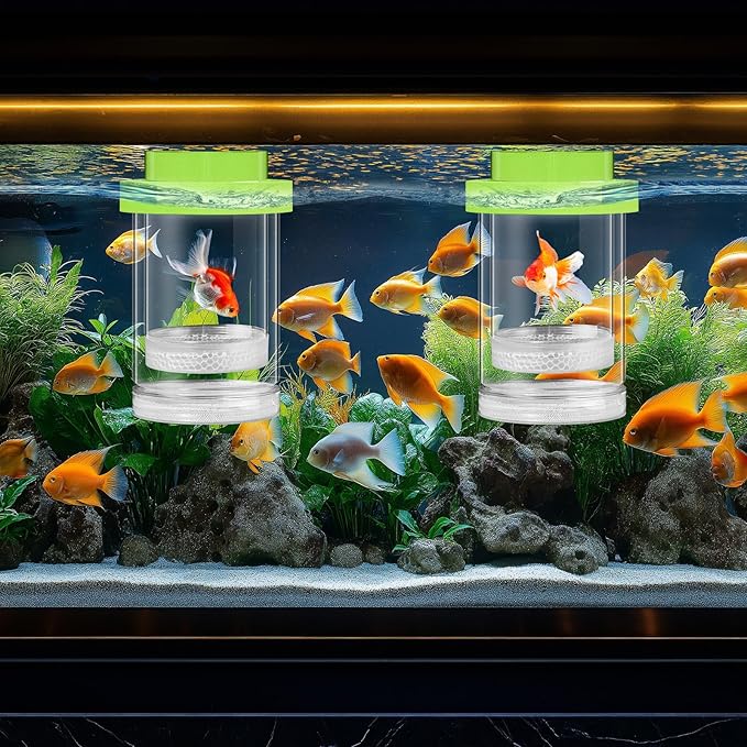 2 Pcs Breeder Box for Fish Tank Aquarium Breeder Separation Net Breeding Box with Suction Cup for Small Fish Shrimp Clownfish Guppy(Green,L)