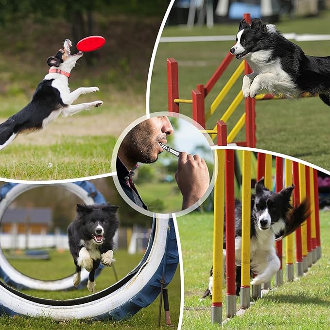 3 Pack Dog Whistle to Stop Barking Neighbors Dogs, Adjustable Silent Dogs Whistle, Training Whistles with Lanyard, Recall Training Whistles to Stop Barking Neighbors Dog(Black, White, Red)