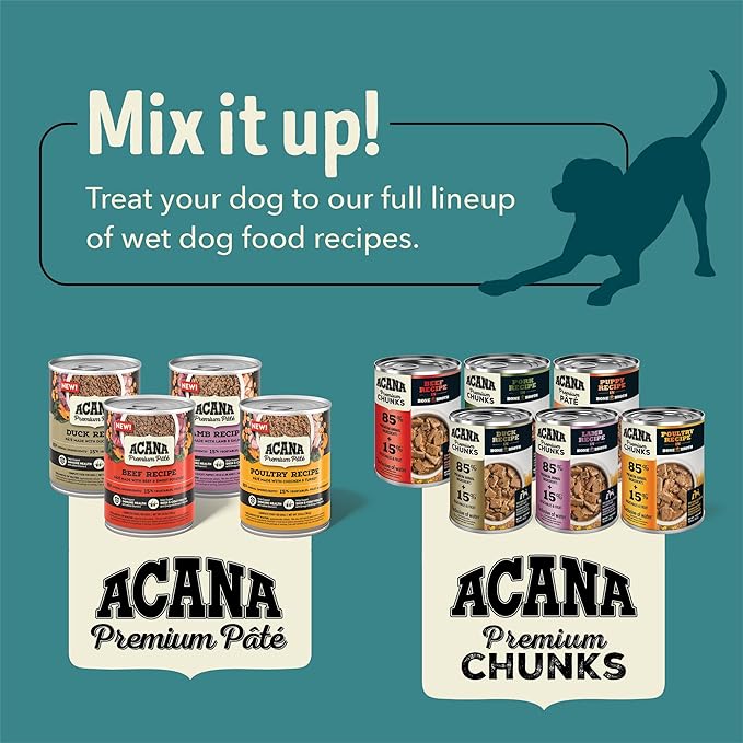 ACANA Premium Pate in Bone Broth Grain-free Wet Dog Food Lamb Recipe 12.8oz Cans (12 Count)