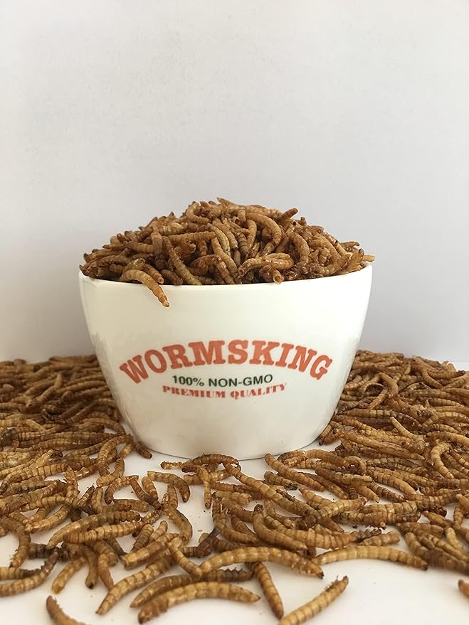 5LB Dried Black Soldier Fly Larvae, More Calcium Than Dried Mealworms, High Protein Chicken Feed,Duck Food, BSFL, Poultry Treats