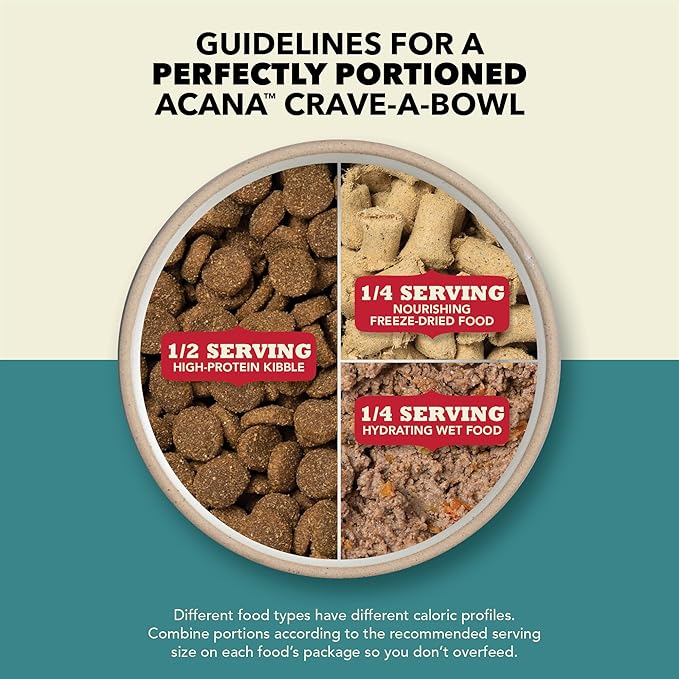 ACANA Premium Pate in Bone Broth Grain-free Wet Dog Food Lamb Recipe 12.8oz Cans (12 Count)