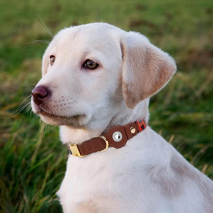 AirTag Dog Collar for Small Medium Large Breed - Adjustable Cute Pattern Dog Collar with Airtag Holder - Soft Leather Tracker GPS Apple Air Tag Pet Collars (X-Large, 20"-25" Neck Fit, Western)