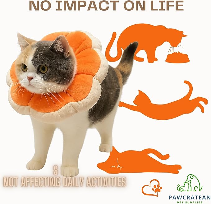 Adjustable Comfy Flower Style Elizabeth Collar for Cats Puppies Soft Recovery Cone Pet Protective Neck Collar (Orange, Medium)