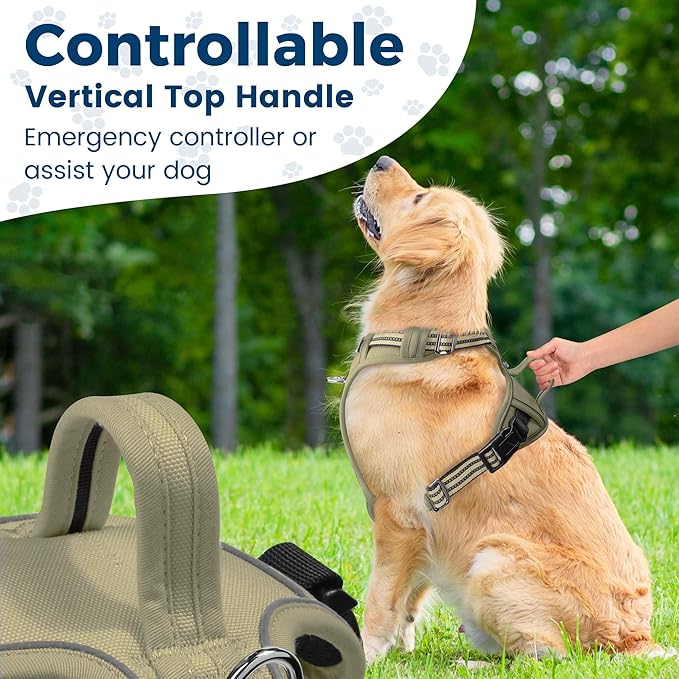 Funfox Dog Harness No Pull, Adjustable Pet Vest Harness, Super Soft Material with Vertical Handle Easy Control, Reflective Night Walking, 2 Leash Clips for Small Sized Dogs, Army Green, S