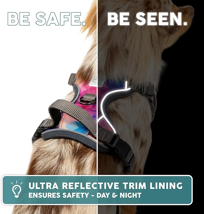 Embark Adventure Dog Harness, Reflective Trim No Pull Dog Harness for Large Dogs - Military Grade Nylon, Front Clip with Gel Lined Handle.