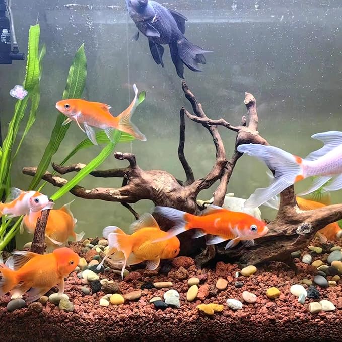 2 lbs Red Lava Rocks for Plants,1/4 Inch Crush Volcanic Rock Gravel Potting Mix for Succulent Cactus Bonsai Aquarium Fire Pits and Garden Landscaping