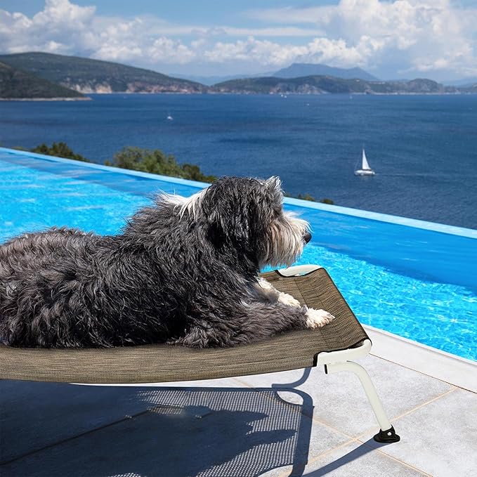 Veehoo Elevated Dog Bed for Outdoor, Cooling Waterproof Raised Dog Cots Beds for Medium Dogs, Curved Off Ground Pet Hammock Cot Lifted for Outside, up to 65lbs, White Legs, Brown 32"