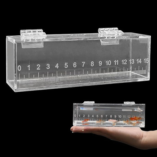 Fish Viewing Box Container with Lid and Scale, Acrylic Portable Fishing Mini Aquarium, Small Fish Breeder Hatching Boxes, Safe Tank Case for Breeding Egg Photo Isolation Outdoor Indoor