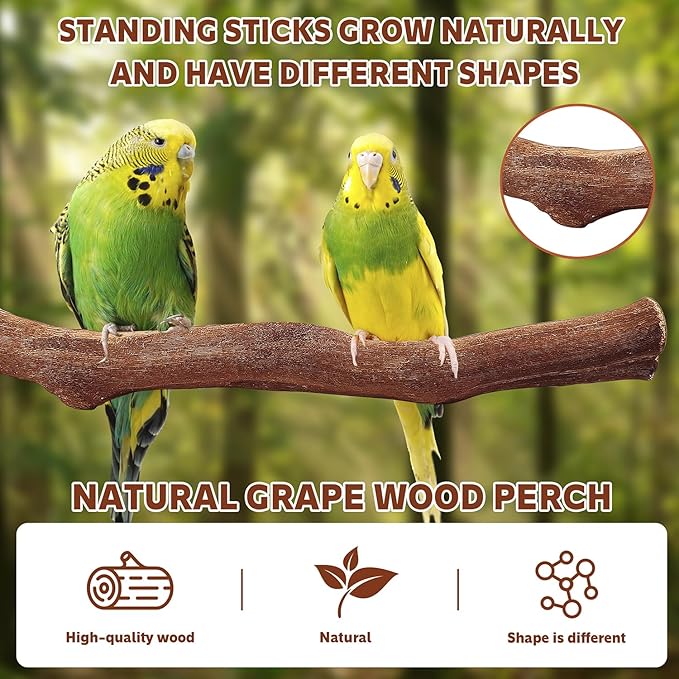 5PCS Bird Perch Stand Natural Wooden Parrot Stand Branch,3 Grape Wood Perch,2 Platform,Paw Grinding Fork Parakeet Chewing Stick Exercise Training Branches for Cockatiels,Small Birds