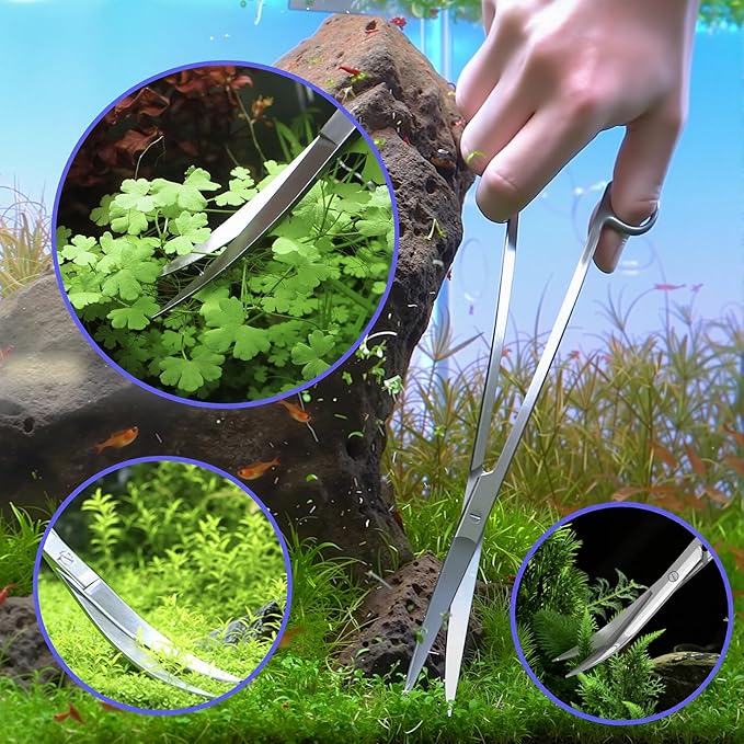 5 Pcs Reptile Feeding Tools Set with Silicone Tips - Extra Long Straight&Curved Tongs, Spoons, Scissors - Stainless Steel Terrarium Feeder Kit for Bearded Dragons, Lizards, Snake, Spiders, Aquarium