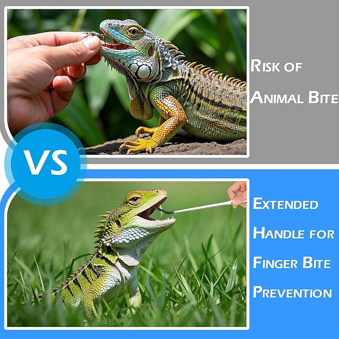 4PCS-Rubber Tip Feeding Tongs for Reptiles Extra Long Stainless Steel Reptile Feeding Tongs Terrarium Tools Feeder for Lizards Bearded Dragon Snake Enclosure Tank Accessories