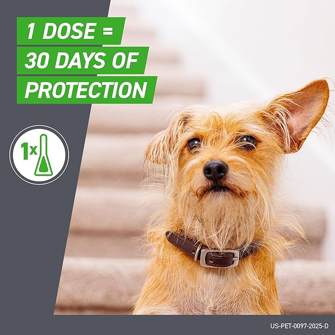 Frontline Plus for Dogs Large Dog (45 to 88 pounds) Flea and Tick Treatment, 6 Doses