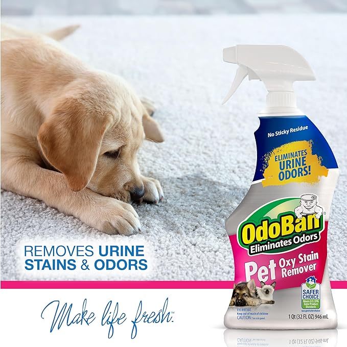 OdoBan Pet Solutions Oxy Stain Remover, Made in the USA, 2-Pack, 32 Ounce Sprays Each, and Neutral pH Floor Cleaner Concentrate, 1 Gallon