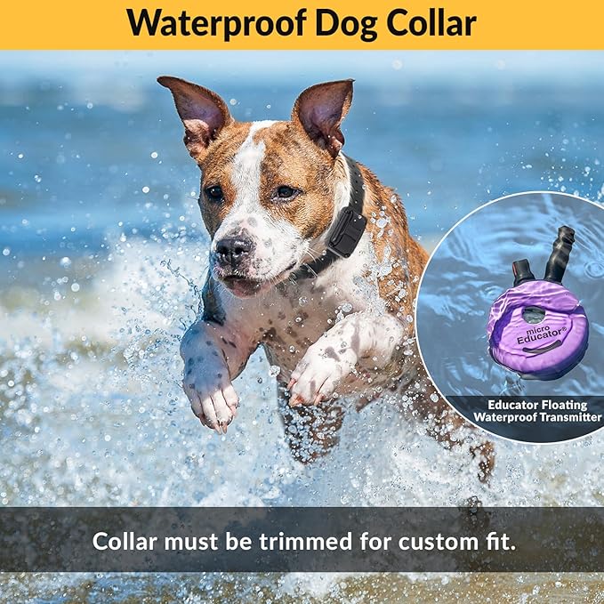 Educator E-Collar Humane Dog Training Collar with Remote, 100 Safe Tapping Stimulation Levels, Night Light, Waterproof, Rechargeable, 1/3 Mile 2 Small Dogs Double Bungee Collar Bundle, Purple
