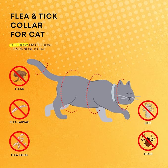 Flea and Tick Prevention Collars for Cats: Effective Pet Flea & Tick Treatment for Cats - Waterproof Adjustable Flea Tick Collars for Large & Small Cat, Outdoor Fleas Ticks Control for Kittens 4 Pack
