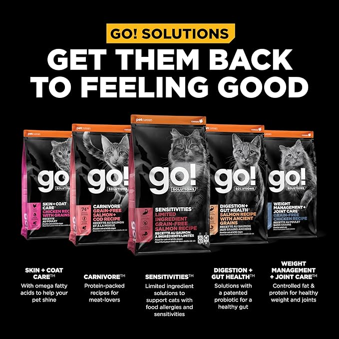 Go! Solutions Sensitivities Limited Ingredient, Grain-Free Dry Cat Food, Salmon Recipe for Sensitive Stomach, 6 lb Bag