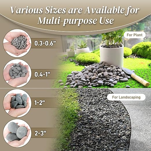 5 lbs Mexican Beach Pebbles, 0.4-1 Inch Natural River Rocks for Indoor Plants Vase Fish Tank Aquarium Fountain, Decorative Stone for Landscaping Garden Paving Walkways Backyard, Grey
