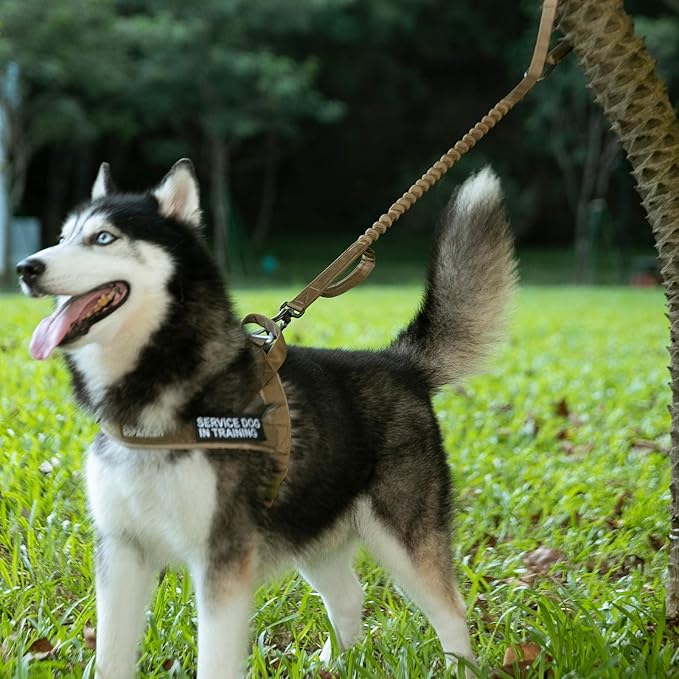 EXCELLENT ELITE SPANKER Tactical Bungee Dog Leash Military Adjustable Dog Leash Quick Release Elastic Leads Rope with 2 Control Handle(Coyote Brown)