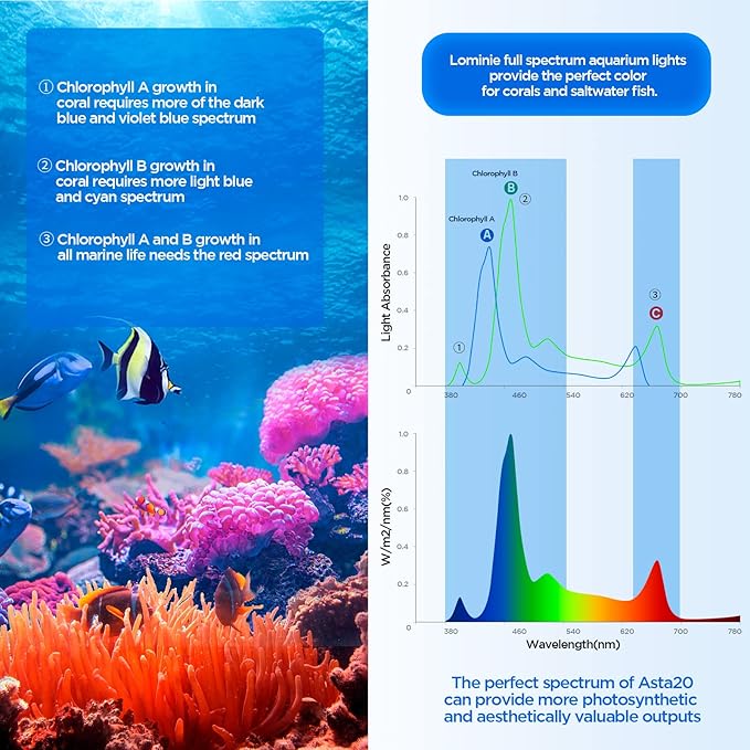 Full Spectrum Aquarium Light, Adjustable Saltwater Super Bright Fish Tank Light for Reef, Coral, Planted Nano Saltwater Aquarium Tank (A-20 Saltwater 16W)