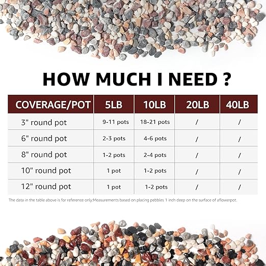 5lbs Natural Gravel Pebbles for Succulents and Cacti, 1/5 Inch Decorative River Stones – Perfect for Vases, Aquariums, Terrariums, and Outdoor Gardening, Mixed Colors (Mixed, 5 Pounds)