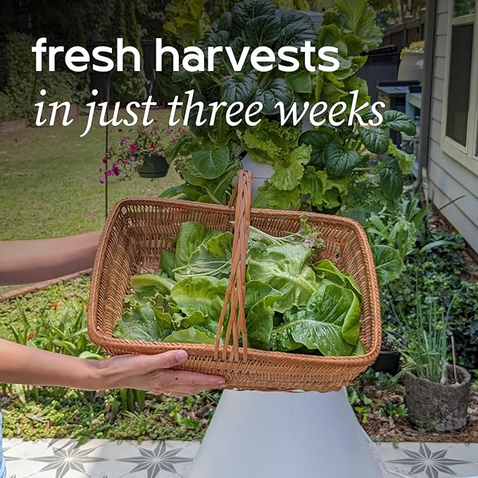 Farmstand Starter Kit + 18 Seedling Credits | Small Hydroponic Growing System Kit | Self-Watering Outdoor Vertical Garden Planter Tower | 4ft 3in | Made in USA