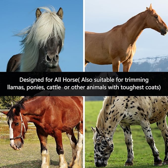 DUCKBOY Heavy Duty Clippers for Thick Coats Animals, 500W Professional Electric Shearing Machine for Horse Pony Cattle and Large Dogs Livestocks Grooming, 6 Speed & 2 Detachable Shearing Blades